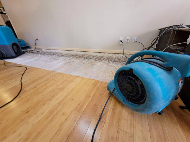 Professional Flood Damage Cleanup technician working in Smithton, MO